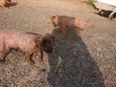 f:id:roukenhome-ann:20190819051926j:plain