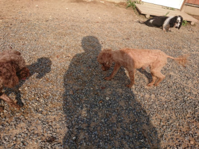 f:id:roukenhome-ann:20190819051931j:plain