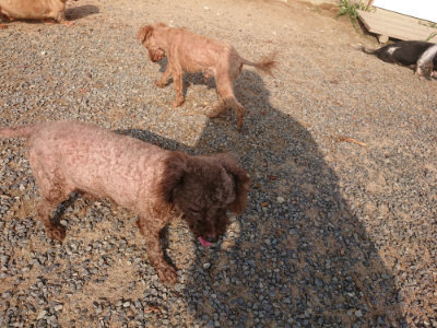 f:id:roukenhome-ann:20190819051937j:plain
