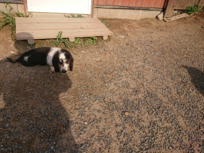f:id:roukenhome-ann:20190819051941j:plain
