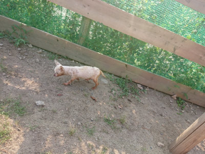 f:id:roukenhome-ann:20190819051948j:plain