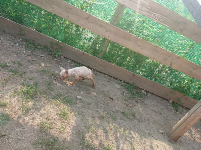 f:id:roukenhome-ann:20190819051953j:plain