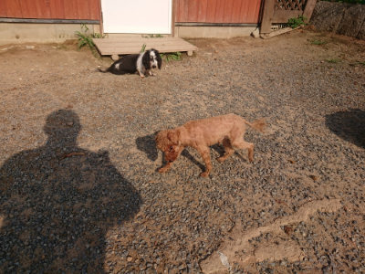f:id:roukenhome-ann:20190819051958j:plain