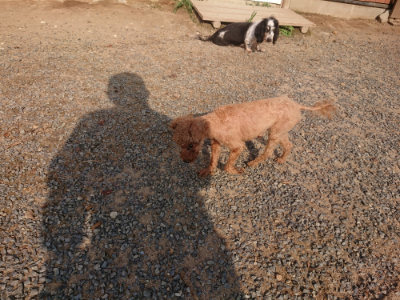 f:id:roukenhome-ann:20190819052003j:plain