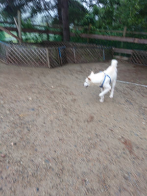 f:id:roukenhome-ann:20190821065804j:plain