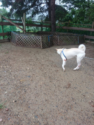 f:id:roukenhome-ann:20190821065907j:plain