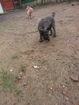 f:id:roukenhome-ann:20190821065937j:plain