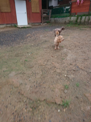 f:id:roukenhome-ann:20190821070022j:plain