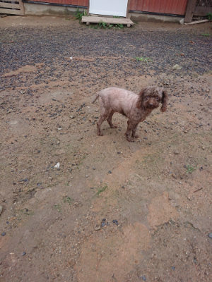 f:id:roukenhome-ann:20190821070333j:plain
