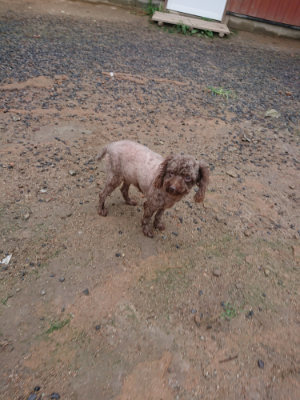 f:id:roukenhome-ann:20190821070359j:plain
