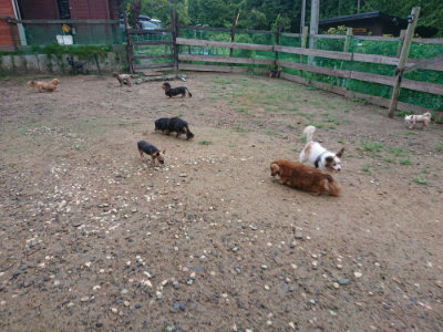 f:id:roukenhome-ann:20190821070430j:plain