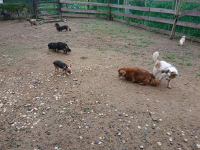 f:id:roukenhome-ann:20190821070436j:plain