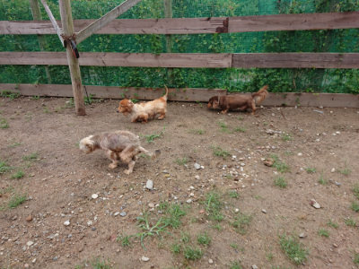 f:id:roukenhome-ann:20190821071017j:plain