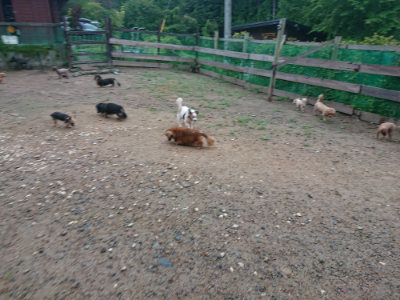 f:id:roukenhome-ann:20190821071139j:plain