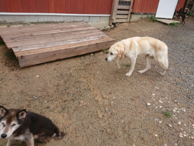 f:id:roukenhome-ann:20190821071150j:plain