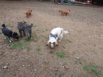 f:id:roukenhome-ann:20190821071249j:plain