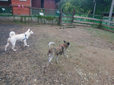 f:id:roukenhome-ann:20190821071255j:plain