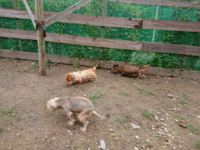 f:id:roukenhome-ann:20190821071356j:plain