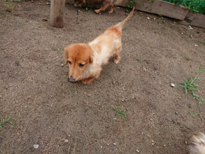 f:id:roukenhome-ann:20190821071400j:plain