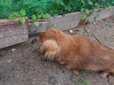 f:id:roukenhome-ann:20190821071423j:plain