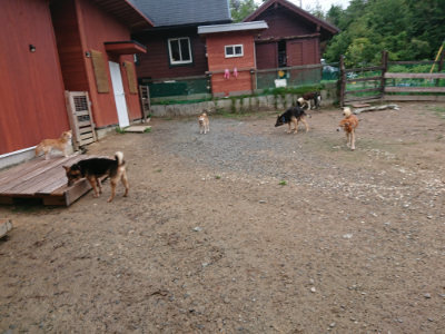 f:id:roukenhome-ann:20190821071635j:plain