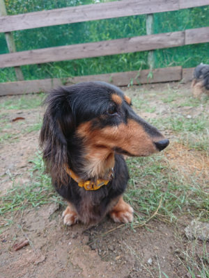 f:id:roukenhome-ann:20190821071658j:plain
