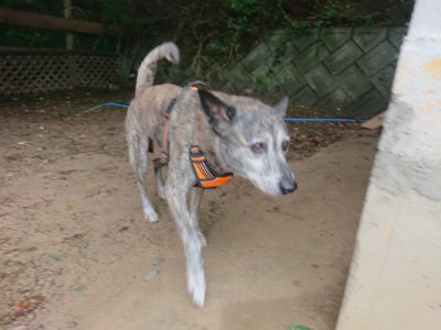f:id:roukenhome-ann:20190821071702j:plain