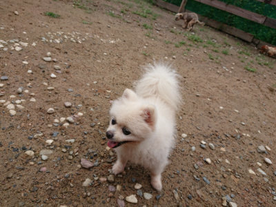f:id:roukenhome-ann:20190821071808j:plain