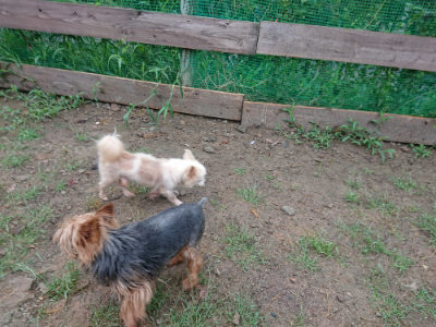 f:id:roukenhome-ann:20190821071826j:plain