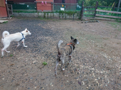 f:id:roukenhome-ann:20190821071833j:plain