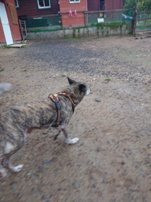 f:id:roukenhome-ann:20190821071927j:plain