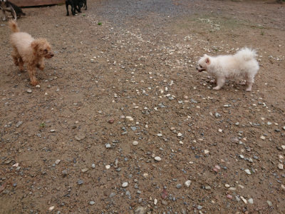 f:id:roukenhome-ann:20190821071952j:plain