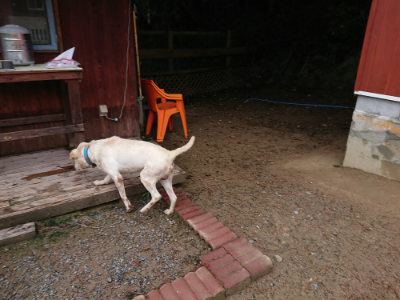 f:id:roukenhome-ann:20190821072017j:plain