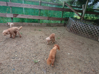 f:id:roukenhome-ann:20190821072920j:plain