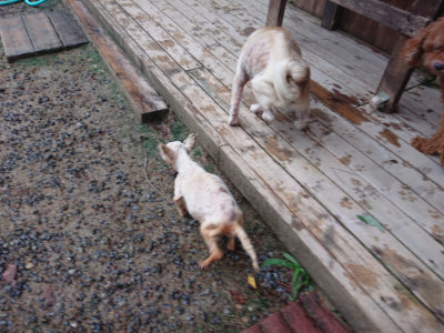 f:id:roukenhome-ann:20190821072932j:plain