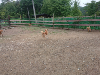 f:id:roukenhome-ann:20190821072949j:plain