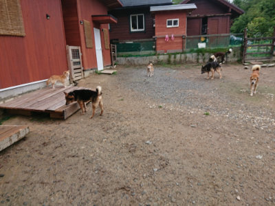 f:id:roukenhome-ann:20190821072955j:plain