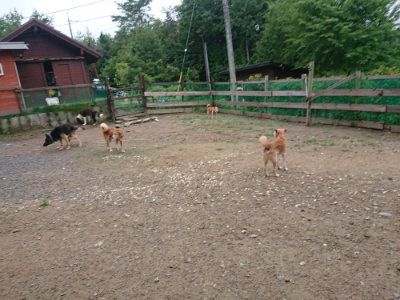 f:id:roukenhome-ann:20190821073016j:plain