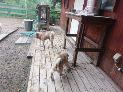 f:id:roukenhome-ann:20190821073102j:plain