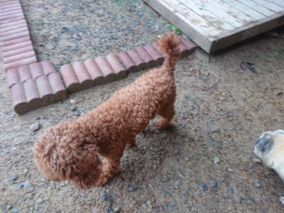 f:id:roukenhome-ann:20190821073117j:plain