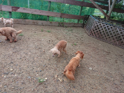 f:id:roukenhome-ann:20190821073723j:plain