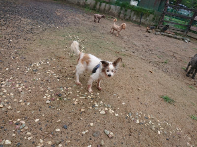 f:id:roukenhome-ann:20190821073745j:plain
