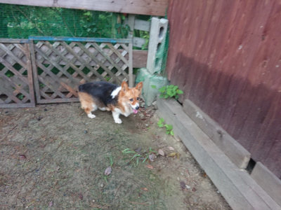 f:id:roukenhome-ann:20190821073750j:plain