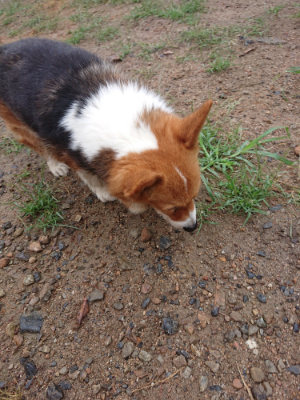f:id:roukenhome-ann:20190821073804j:plain