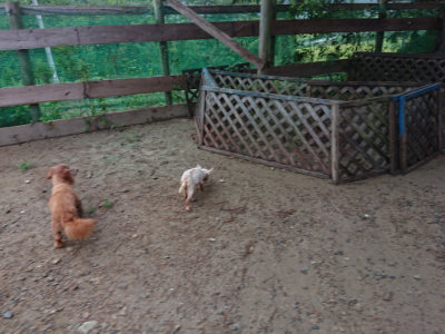 f:id:roukenhome-ann:20190821073810j:plain