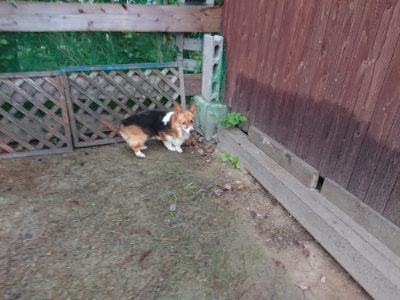 f:id:roukenhome-ann:20190821073846j:plain
