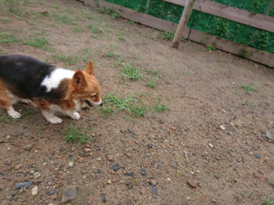 f:id:roukenhome-ann:20190821073900j:plain
