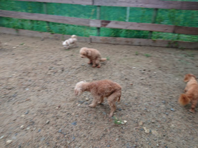 f:id:roukenhome-ann:20190821073905j:plain