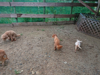 f:id:roukenhome-ann:20190821073910j:plain