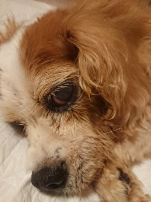 f:id:roukenhome-ann:20190821073920j:plain